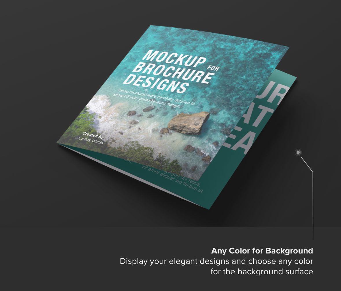 Square Trifold Brochure Cover Mockup -Background Color