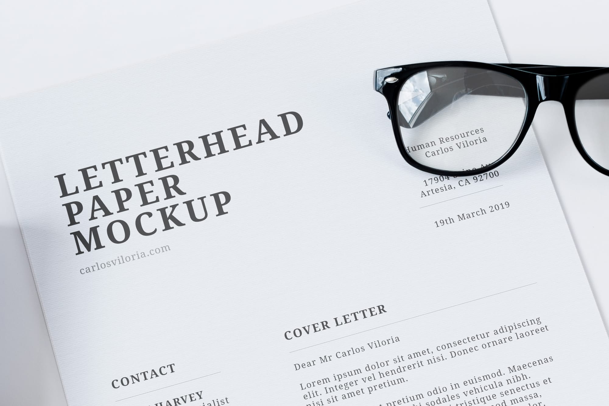 Free Letterhead Paper and Craft Tube Mockup