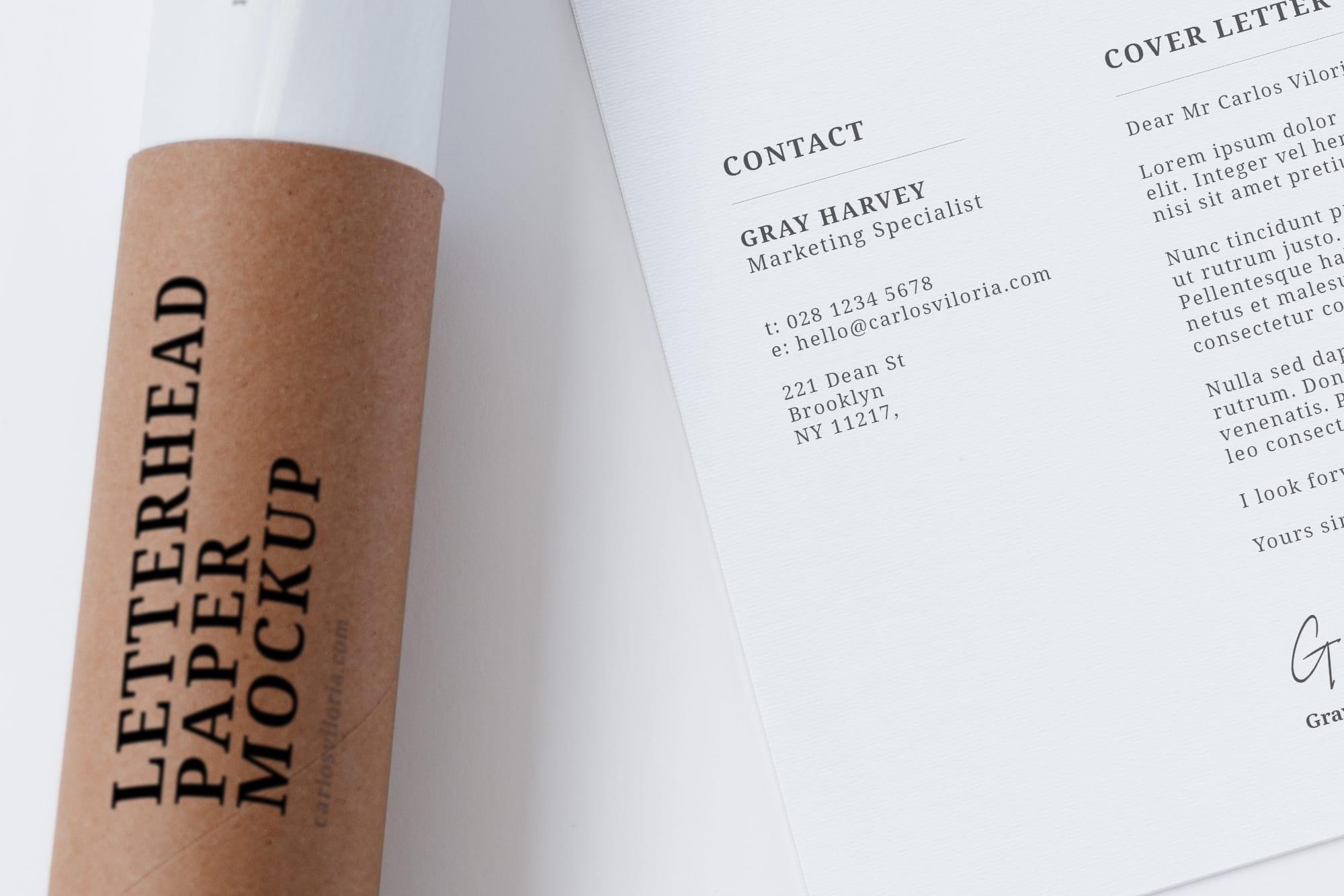 Free Letterhead Paper and Craft Tube Mockup