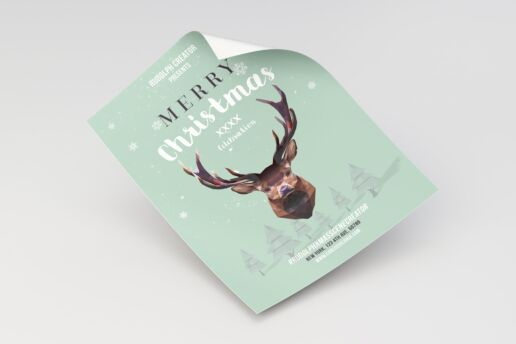 Merry Christmas Flyer - Poster Template 03