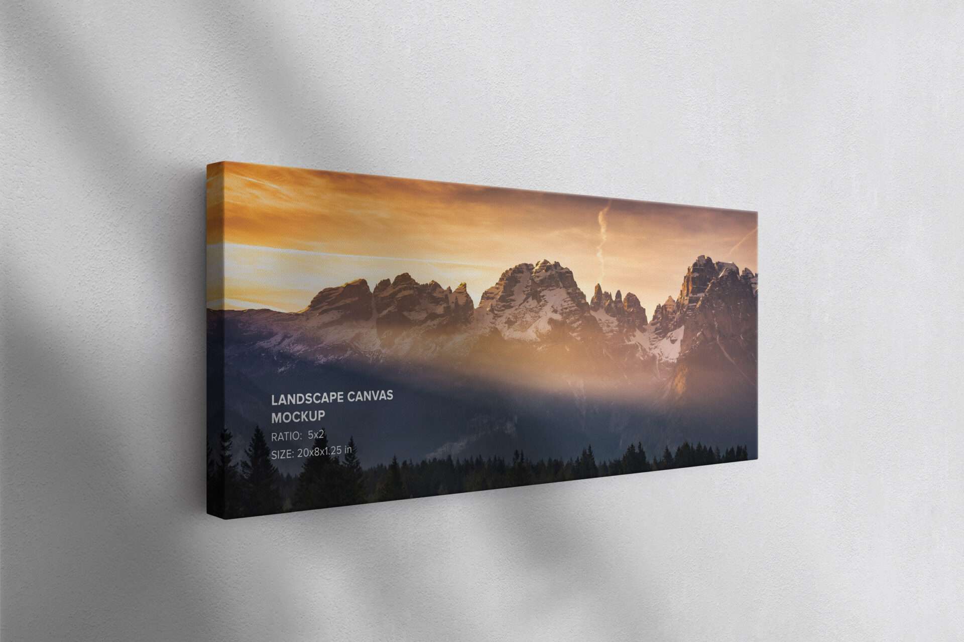 Hanging Landscape Canvas Ratio 5x2 Mockup - Left 1.25 In Wrap
