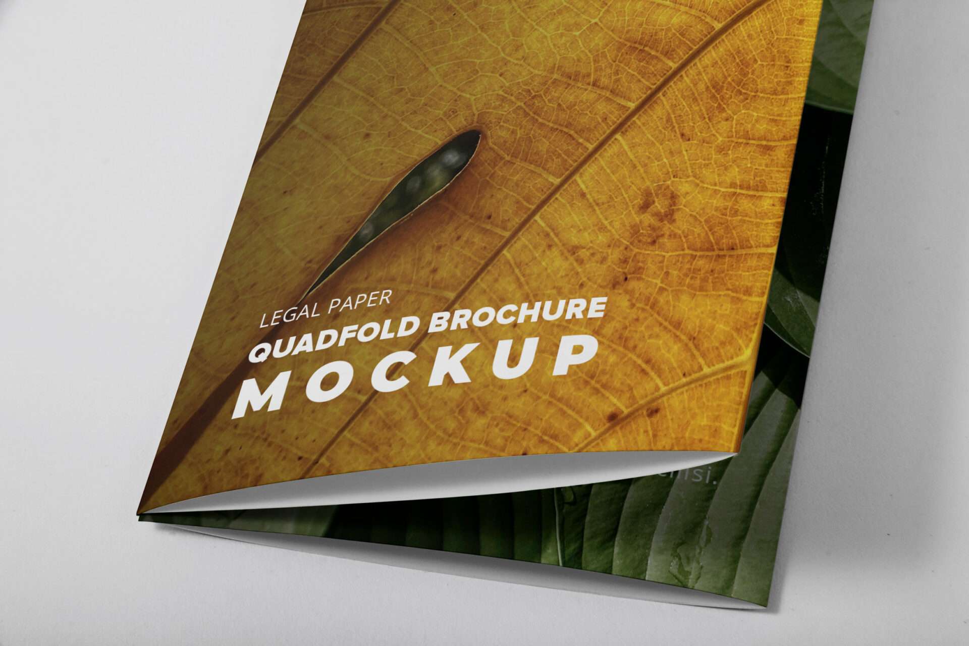 Legal Qadfold Brochure Mockup - Close Up
