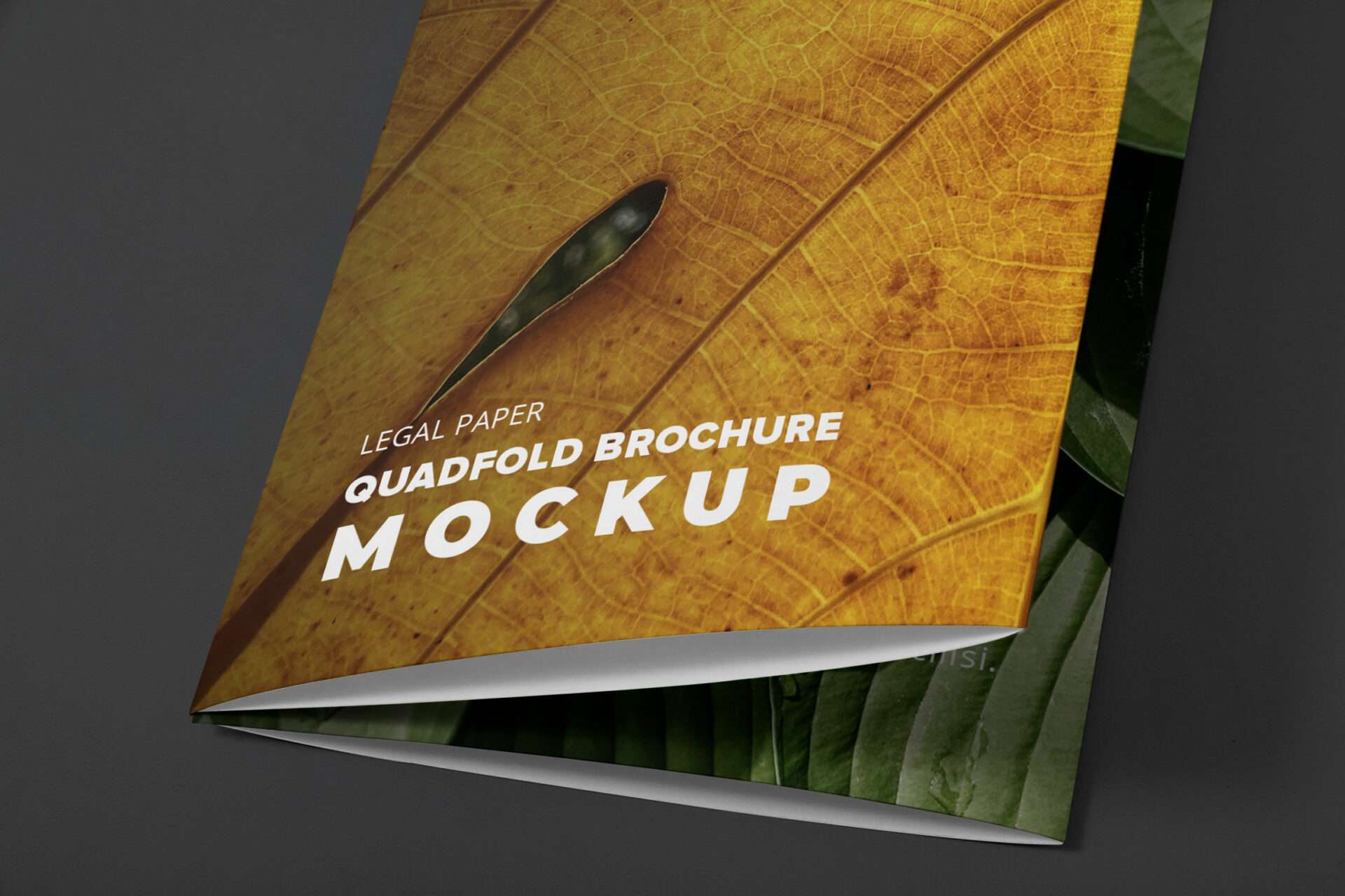 Legal Qadfold Brochure Mockup - Close Up