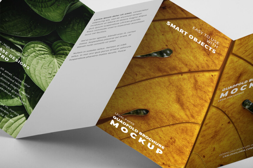 Legal Quadfold Brochure Mockup