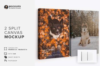 Two Panel Split Canvas Ratio 2x3 Mockup - Mockups by Carlos Viloria