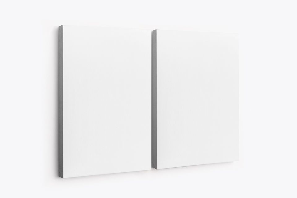 Two Panel Split Canvas Ratio 2x3 Mockup