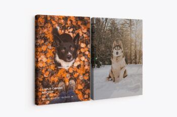 Two Panel Split Canvas Ratio 2x3 Mockup - Mockups by Carlos Viloria