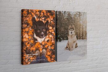 Two Panel Split Canvas Ratio 2x3 Mockup - Mockups by Carlos Viloria