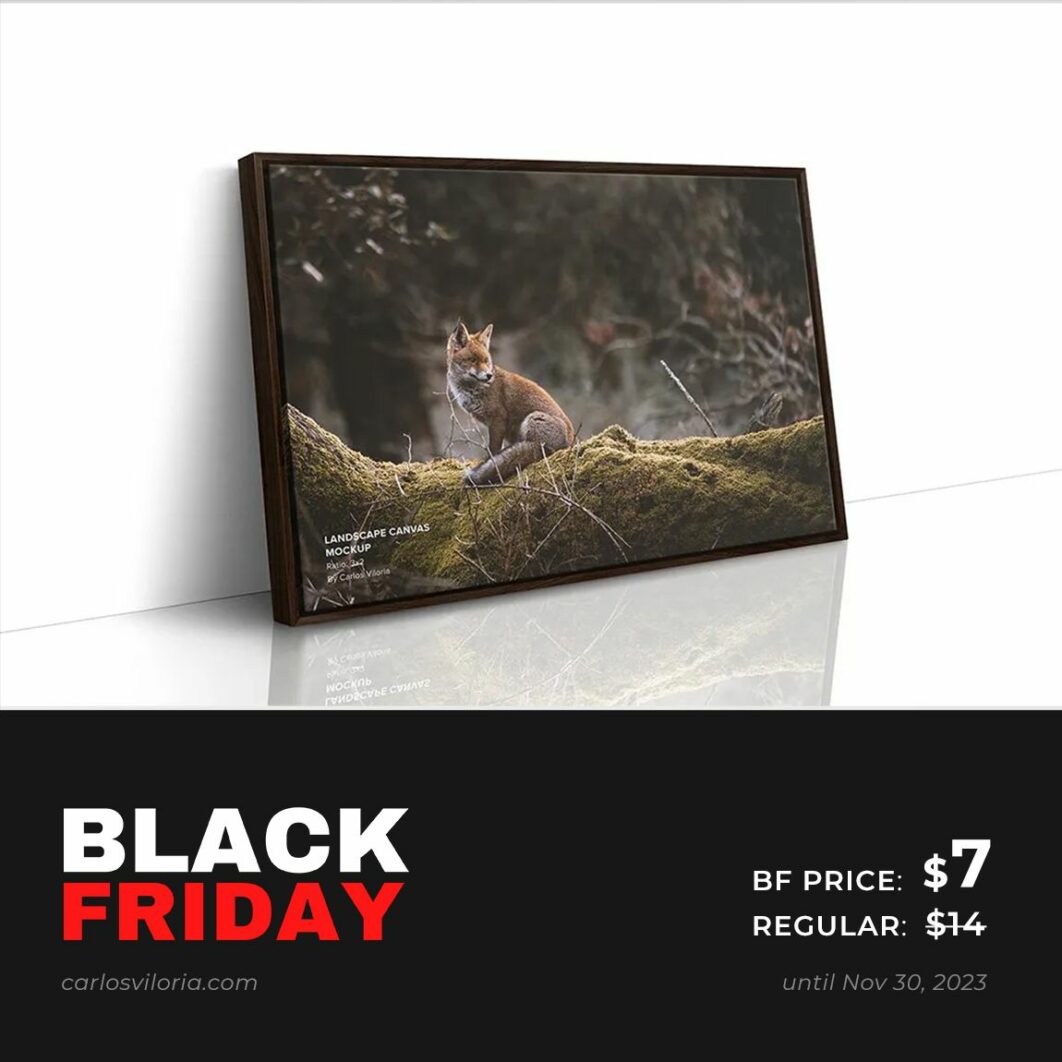 Floating Frame Landscape Canvas Mockup – Ratio 3×2 - Black Friday Sale