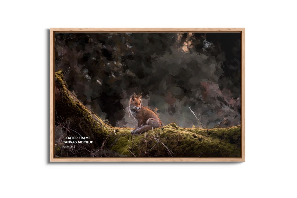 Front Floater Frame Canvas Ratio 3x2 Mockup
