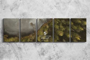 Front View 5 Split Canvas Mockup - Ratio 2x3 - Mockups by Carlos Viloria