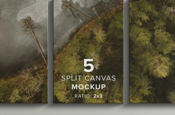 Front View 5 Split Canvas Mockup - Ratio 2x3 - Mockups by Carlos Viloria